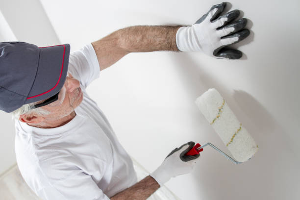 Reliable Maysville, KY Mold Removal Solutions